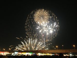 写真 (4)