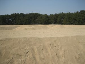 IMG_0003