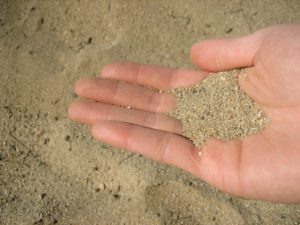 IMG_0007