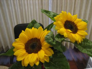 IMG_0018