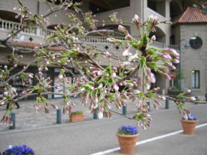 IMG_1399