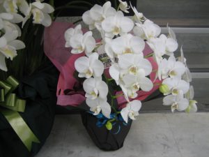 IMG_1465