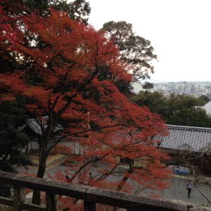 伊丹市 天気