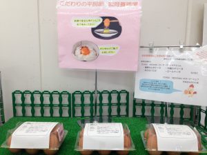 宝塚市 めまい