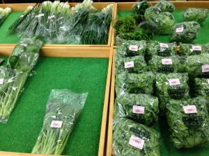 西宮市 めまい 鍼灸