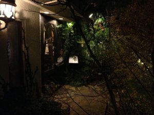 宝塚市　はりきゅう治療