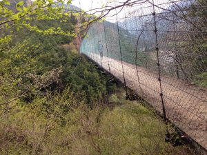 鍼灸院　ありがとう　３５８４